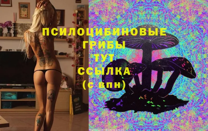 Псилоцибиновые грибы Magic Shrooms  МЕГА ссылки  Верхняя Тура 